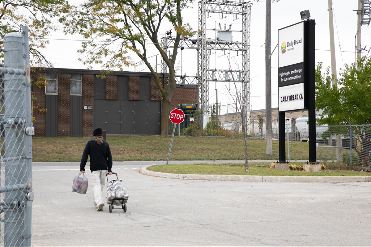 data-collection volunteer gathering information on the ground