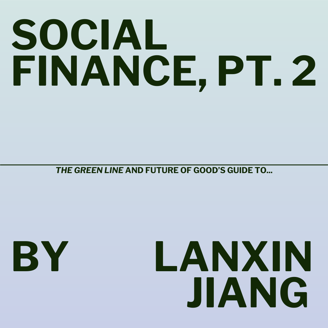 Social Finance Explainer graphic Pt.2