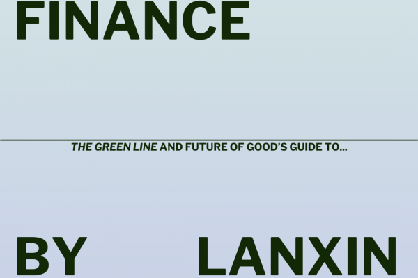 Social finance explainer cover page