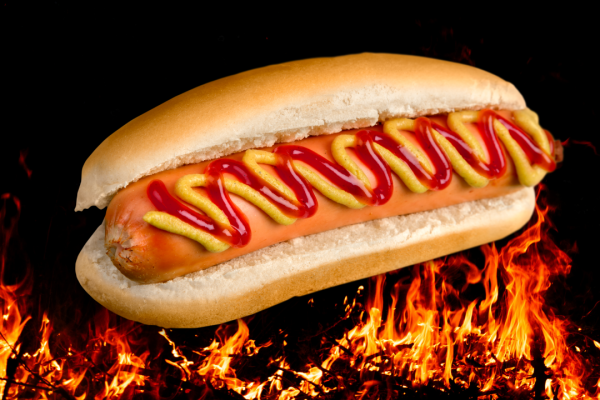 Hot dogs Newsletter