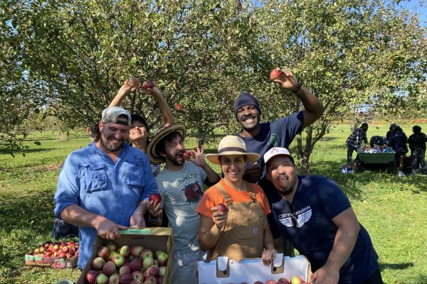 Image Caption: Grassroots and community-led groups – such as those growing and redistributing food at hyperlocal levels – are often unincorporated. They may either not want to go down the route of charitable registration or be ineligible to apply altogether. However, for many to access sustainable sources of funding, they need a charitable number and a ‘legal home’ within a charity. (Photo: Sundance Commons / Supplied)