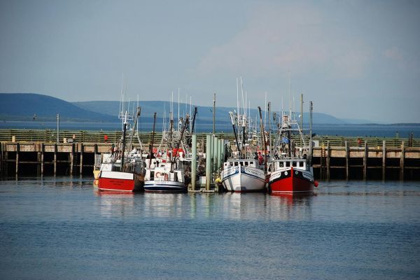 Fishing boats in Nova Scotia.