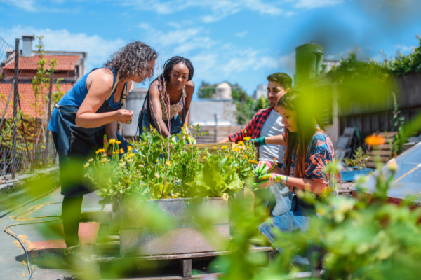 Creating urban parks in cement-laden spaces isn't something investors generally pay for - but a new idea could help change that. (Canva/Supplied)