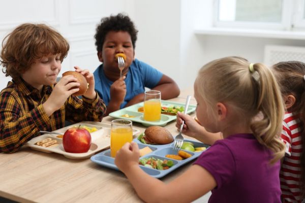 Canada’s national school food program could have far-reaching effects on everything, but there are a few more steps that need to be taken to ensure it does. (Canva/Supplied)